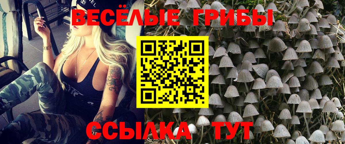 Менделеевск  Галлюциногенные грибы ЛСД  Вход с VPN 